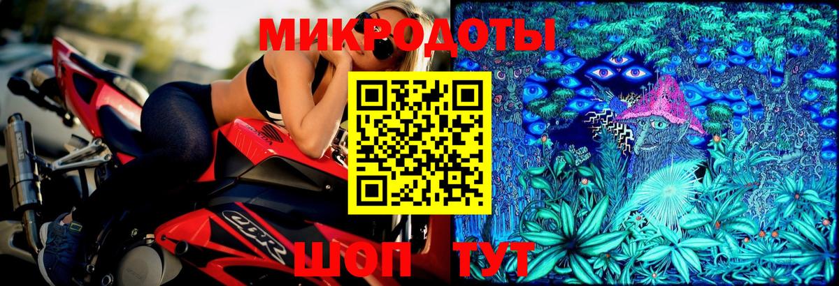 Псилоцибиновые грибы Psilocybe Артёмовский